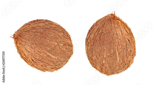  brown coconut on white background