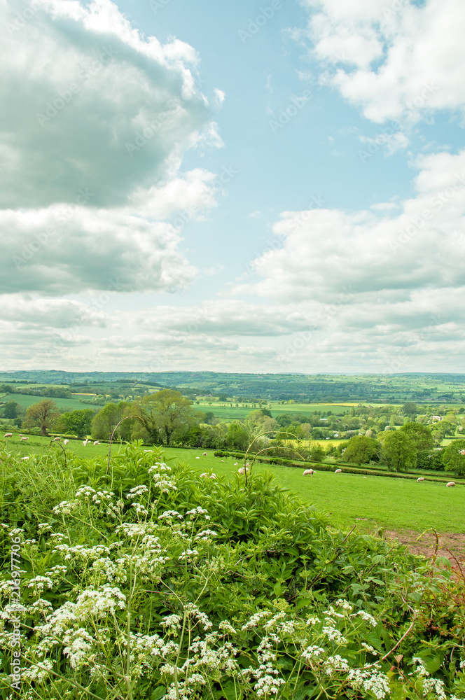 Summertime clouds and fields in the English countryside.