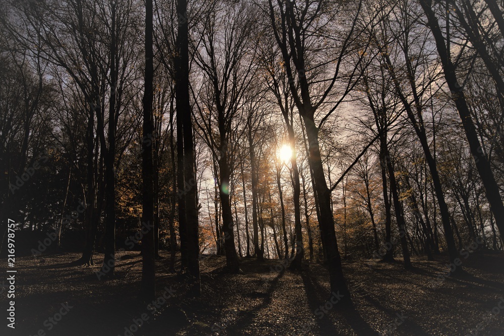 Autunno Autunno