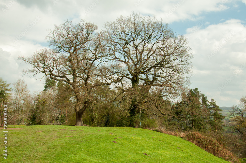 Winter landscape in the English countryside. Winter landscape in the English countryside.
