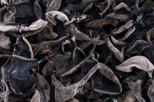 Closeup of black fungus.