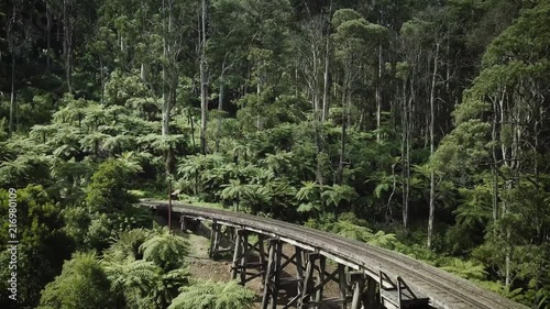 Flying over the Puffing Billy Trestle Bridge in Melbourne Australia photo