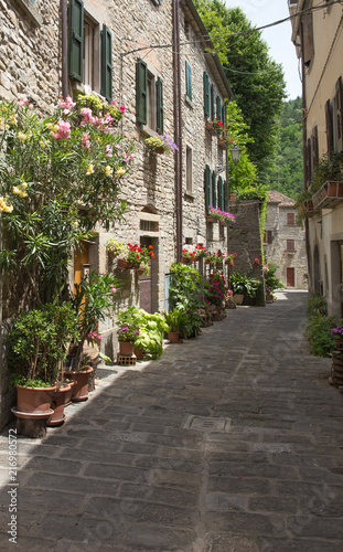 Fototapeta Naklejka Na Ścianę i Meble -  typical Italian street in a small provincial town of Tuscan, Italy, Europe