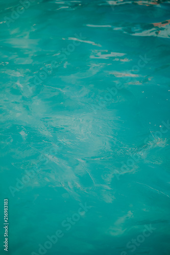 Clear water in the pool. Blue