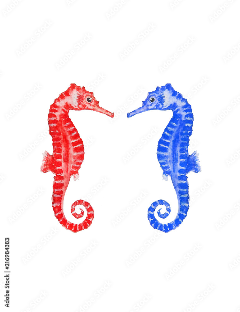 Obraz premium Sea horse watercolor