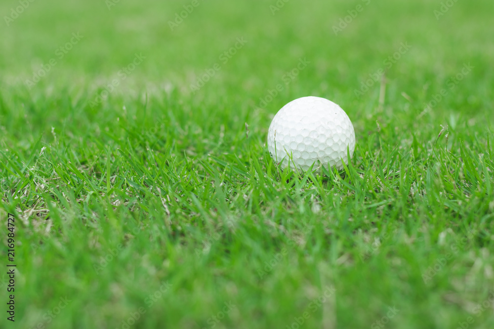 Close up to golf ball on green grass in golf course. Close up to golf ball on green grass in golf course.