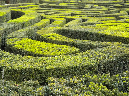 Italian garden