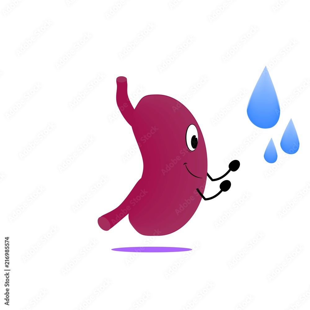 Obraz premium Estomago-13