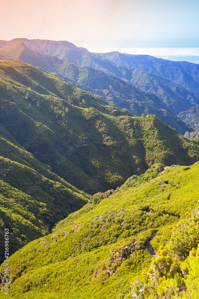 Vertical mountain landscape of Madeira island