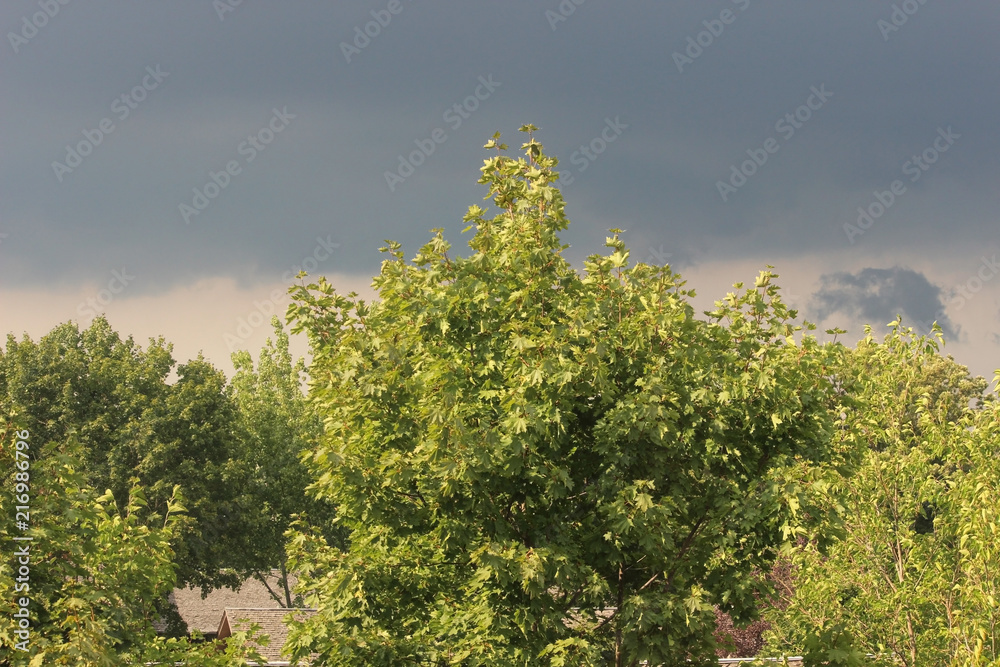 Spring afternoon weather about to change. Storm clouds moving in with lightning and thunder Spring afternoon weather about to change. Storm clouds moving in with lightning and thunder