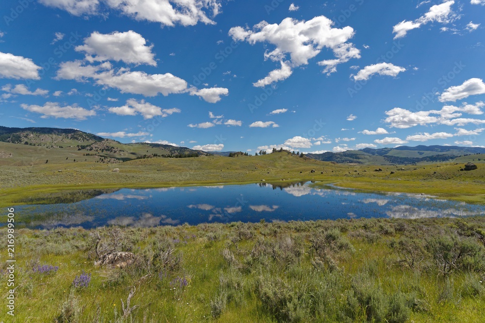 Teich im Lamar Valley