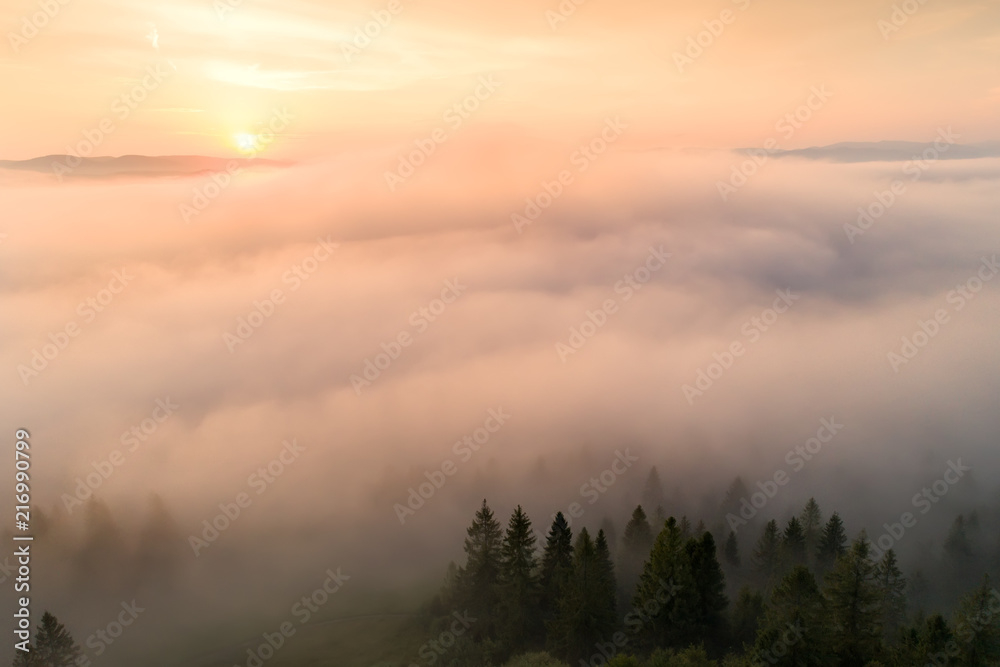 Fototapeta premium Autumn morning