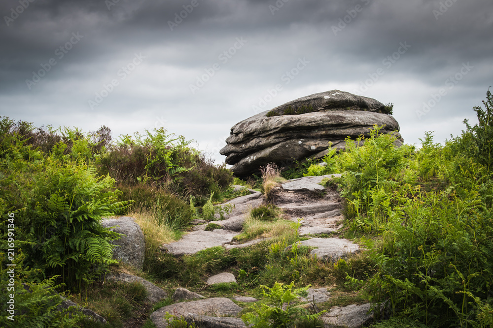 Gritstone in the countryside