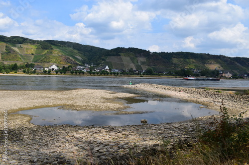 Niedrigwasser im Rhein bei LEutesdorf, mit Weinbergen, 08/18 photo