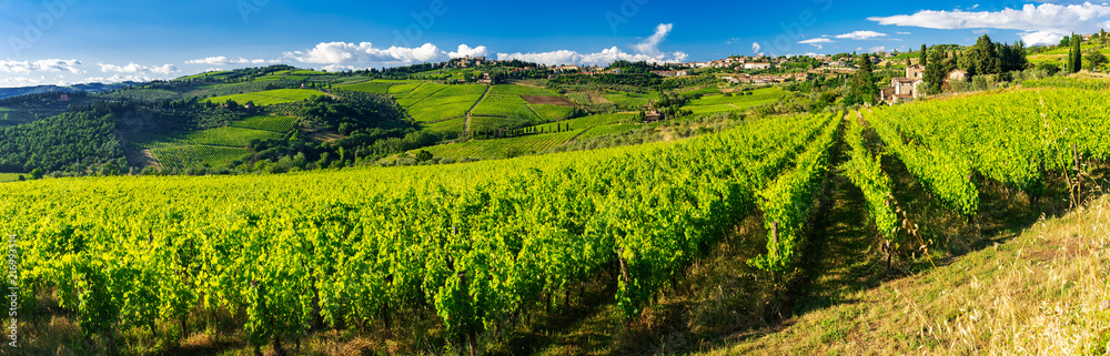 Weingärten in Panzano
