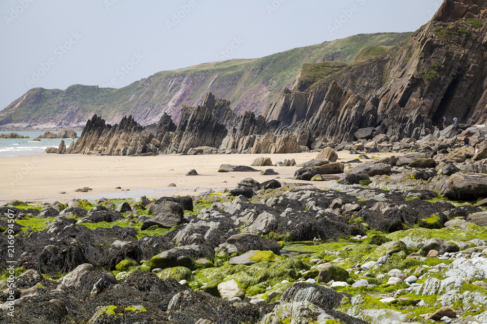 Fototapeta premium Typische Küstenlandschaft in Wales