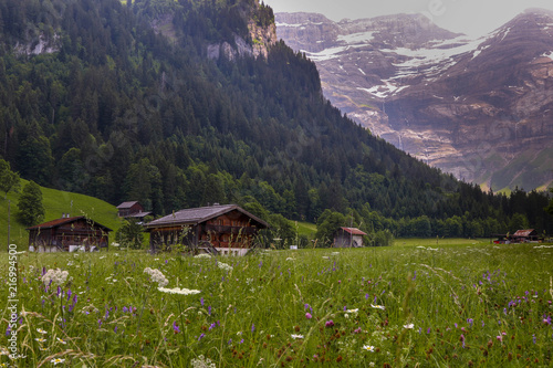 alpine sights