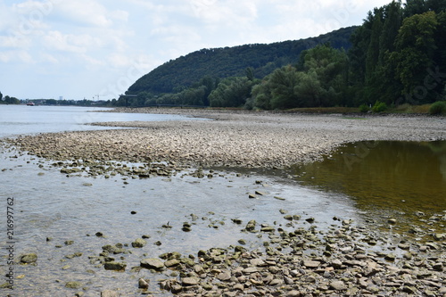 Rhein bei extremem Niedrigwasser 2018, Andernach / Leutesdorf photo