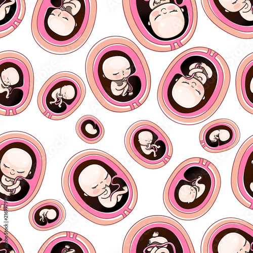 Seamless baby pattern, babies and newborns. Human fetus inside the womb 1 to 9 months.Vector illustrations