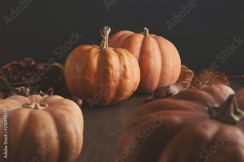Beautiful pumpkins with leaves and chestnuts on black background photo