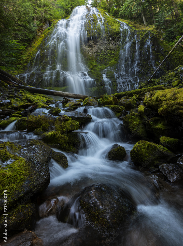 Fototapeta premium Proxy Falls is a beautiful waterfall in Three Sister Wilderness.