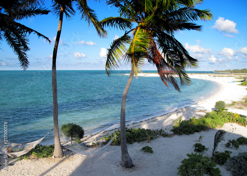 Peaceful breeze