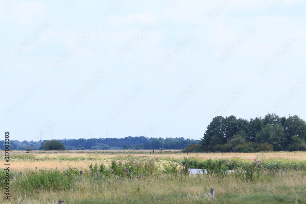 Natur am Breiten Wasser in der Hammeniederung im Sommer Natur am Breiten Wasser in der Hammeniederung im Sommer