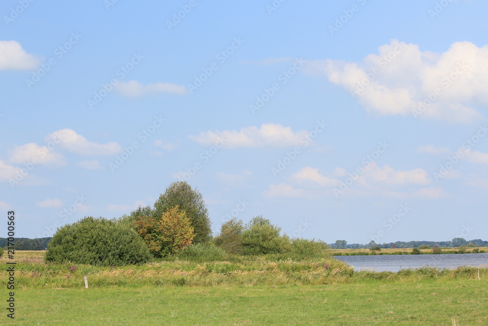 Natur am Breiten Wasser in der Hammeniederung im Sommer