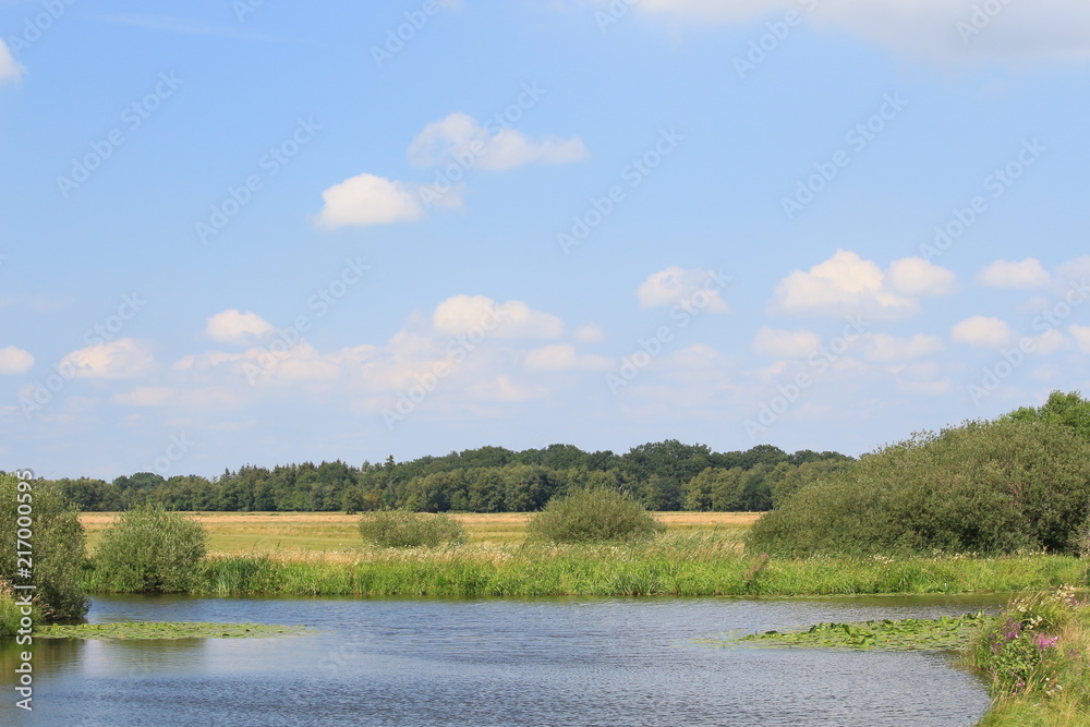 Natur am Breiten Wasser in der Hammeniederung im Sommer