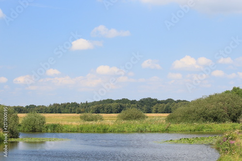 Obraz na płótnie Natur am Breiten Wasser in der Hammeniederung im Sommer w salonie