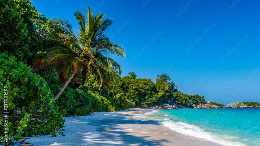 A deserted sandy beach on a beautiful remote tropical island (Similan Islands)