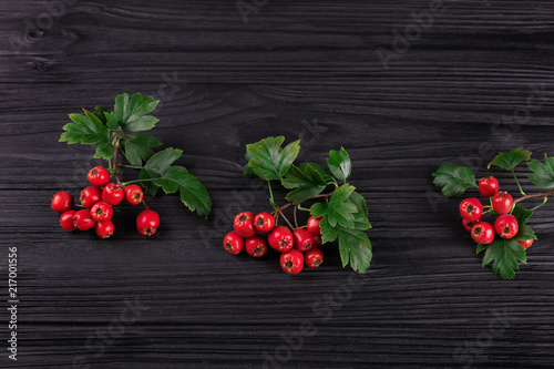 berry red whitethorn on a branch with green leaves