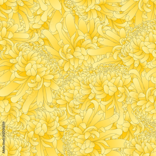 Yellow Chrysanthemum Flower...
