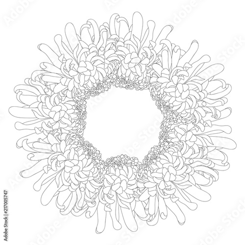 Chrysanthemum Outline Flowe...