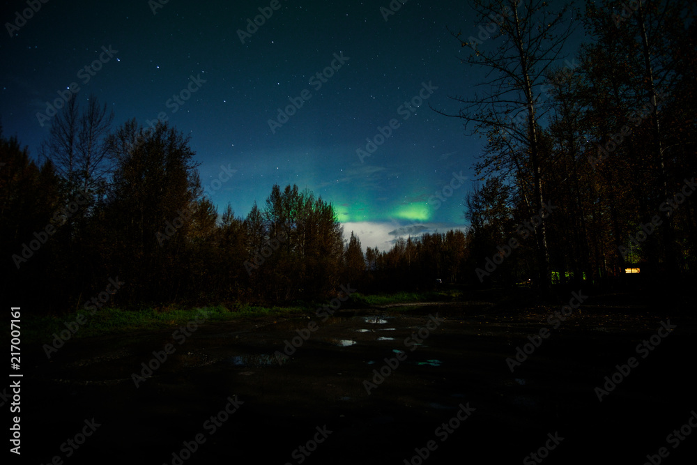 Weak northern lights on the sky, green light, trees and puddles on the road.
