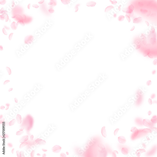 Sakura petals falling down. Romantic pink flowers vignette. Flying petals on white square background