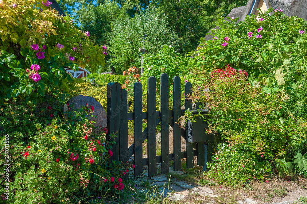 Garden door with roses in Putgarten