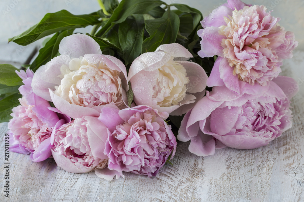 bouquet of pink peonies close up on a wooden white table
