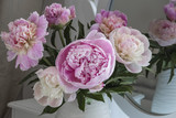 a bouquet of pink peonies close up in a white vase on a table