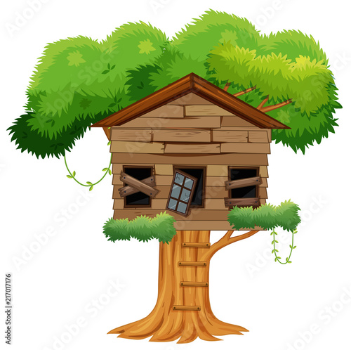 Old broken tree house