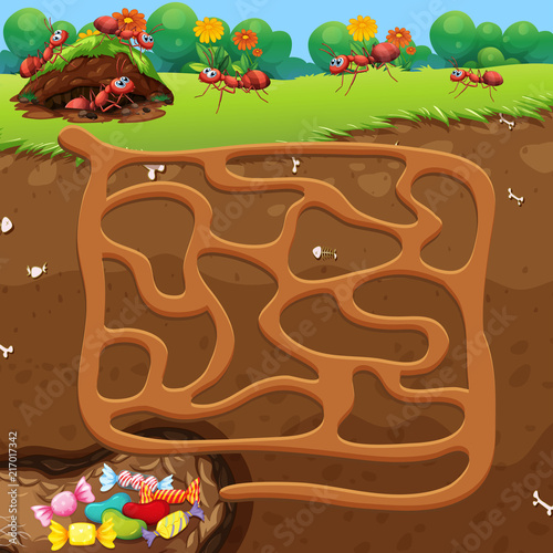 Maze with ants and candy concept