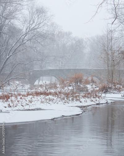 Wallpaper Mural Snowy Bridge Torontodigital.ca