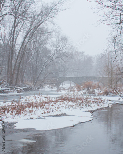 Wallpaper Mural Snowy Bridge Torontodigital.ca