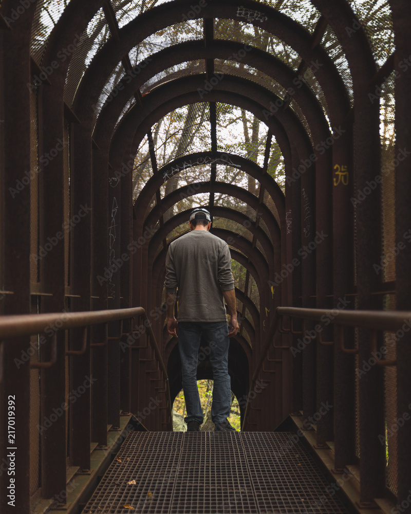 custom made wallpaper toronto digitalWissahickon 2