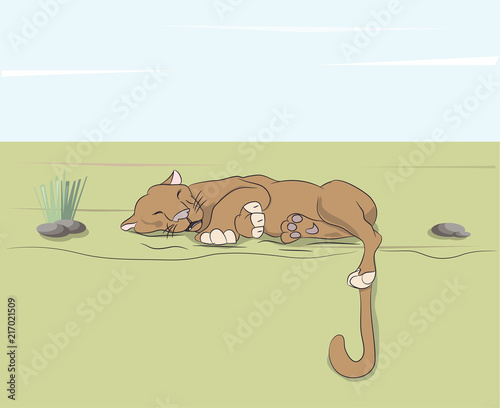 lioness sleeping on nature, around trees under blue sky,