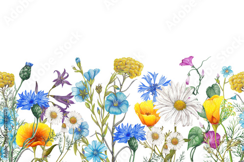 Seamless border of hand drawn  wildflowers © arevka