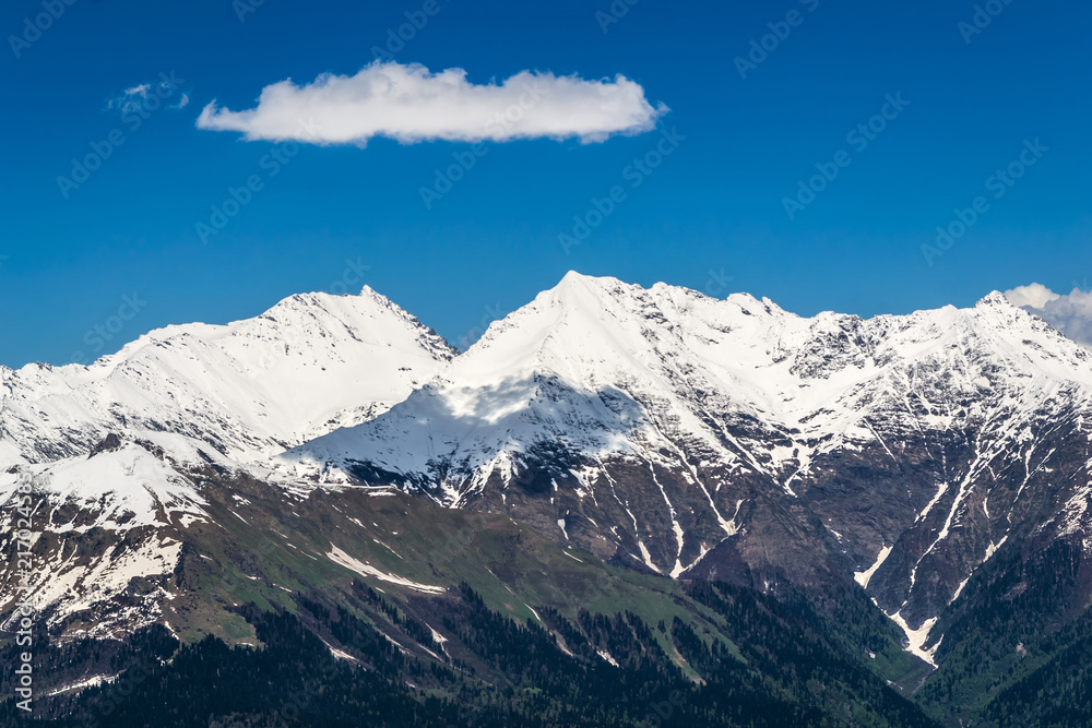 snowy mountain tops are covered with forest