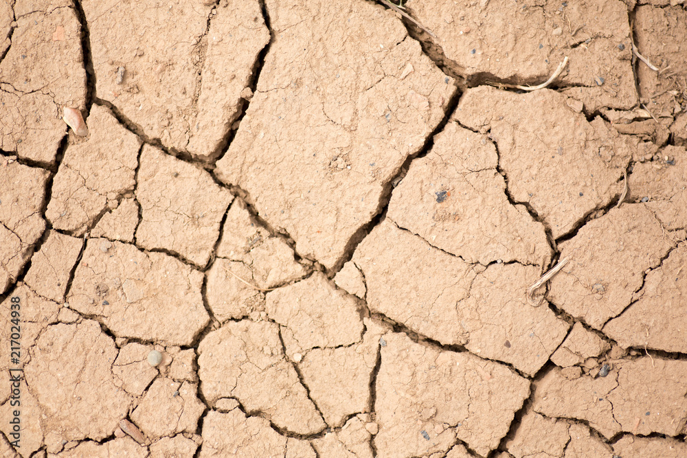texture of the earth. small and coarse fraction. drought. texture of the earth. small and coarse fraction. drought.