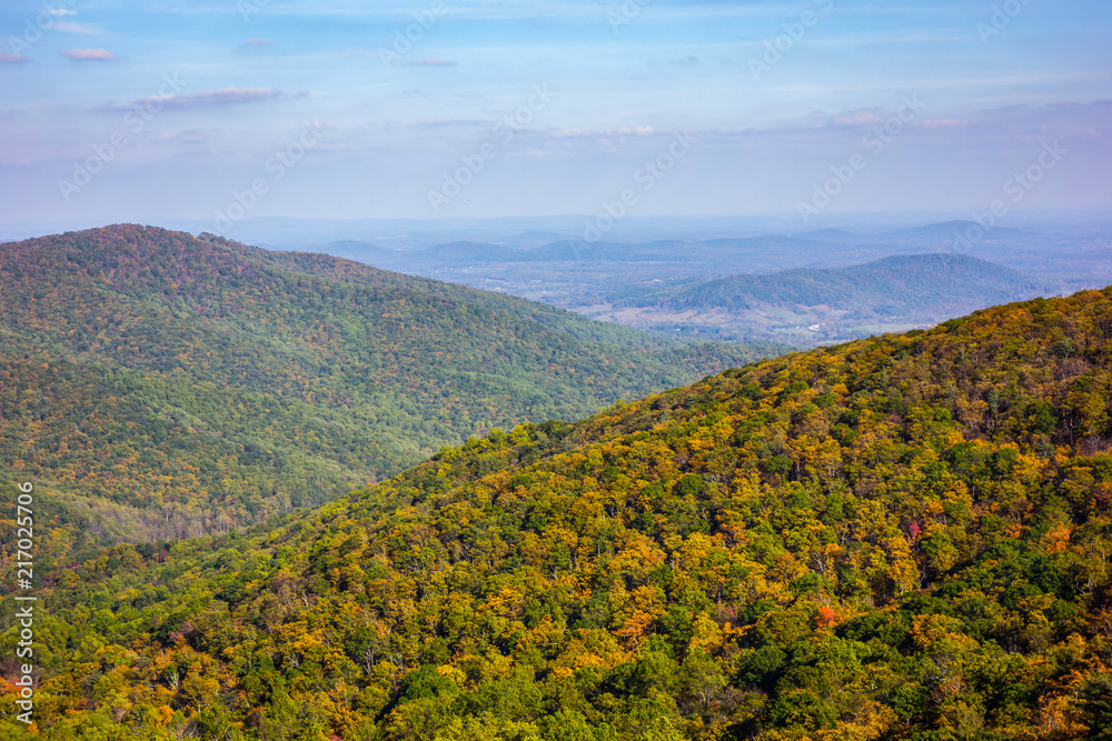Fall Foliage in Mountains. Autumn in Virginia (Shenandoah National park). Skyline view.