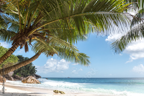 Fototapeta Naklejka Na Ścianę i Meble -  Palm trees on a tropical beach in Seychelles